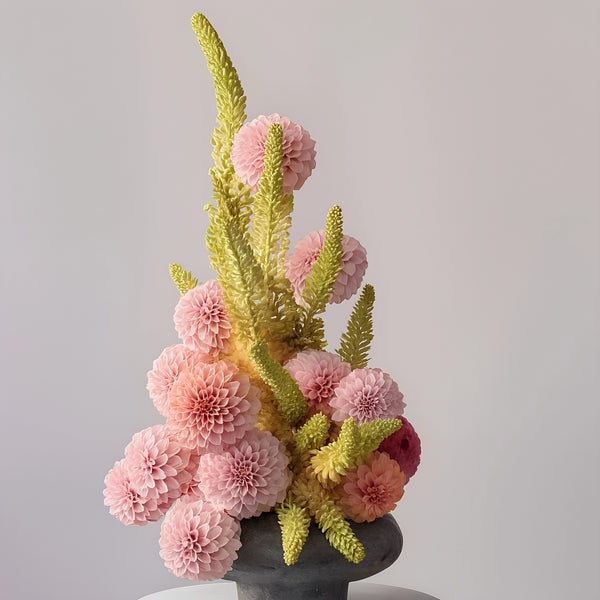 Sculptural Premium Dahlia Arrangement in Vase